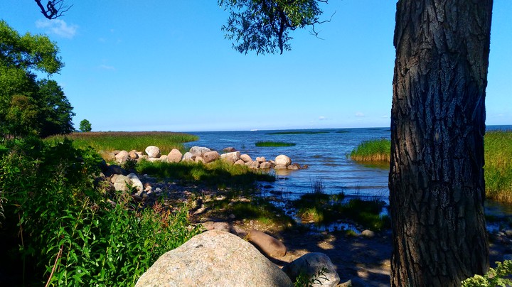 sea
