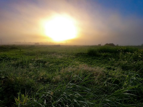 Magic field