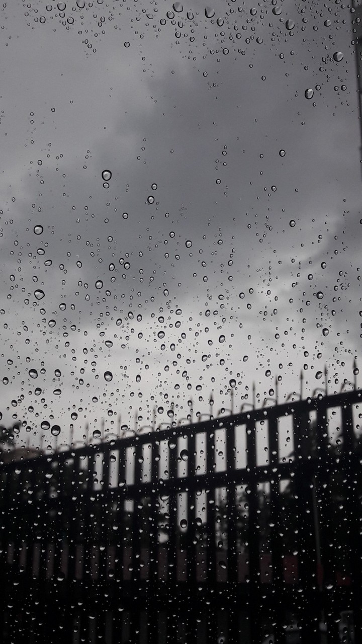 Rainy Afternoon