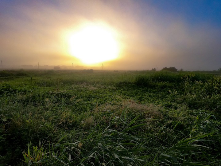 Magic field