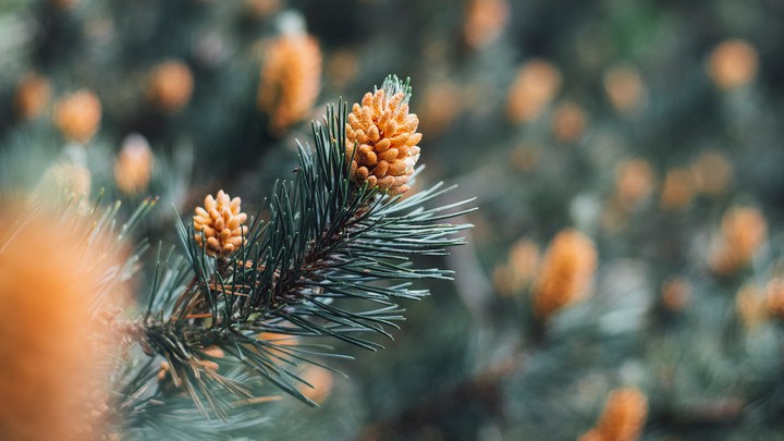 500px