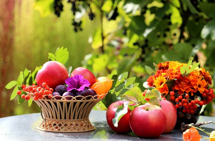 ⭐♥Fruits♥⭐