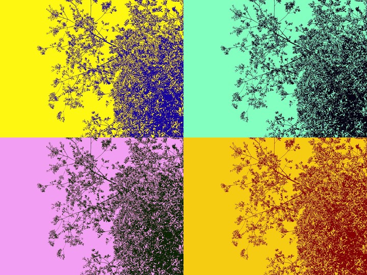 Part 1:What did you see?