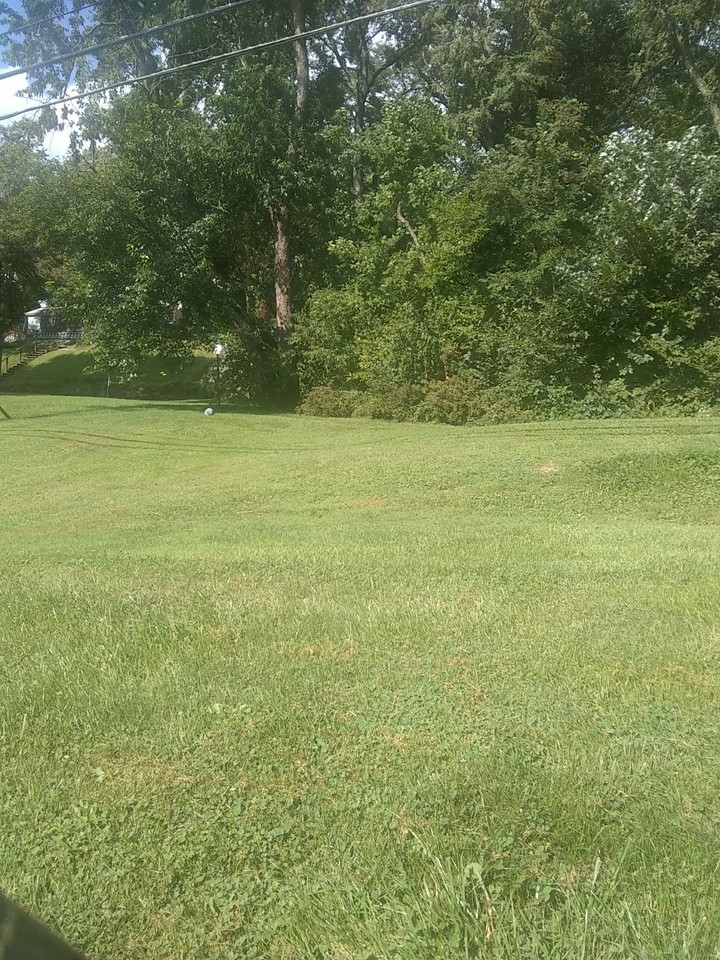 Too much green isn't a thing