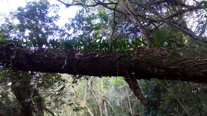 maravilhas da natureza