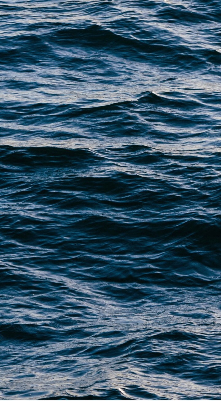 sea