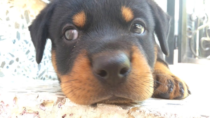 What you looking at?