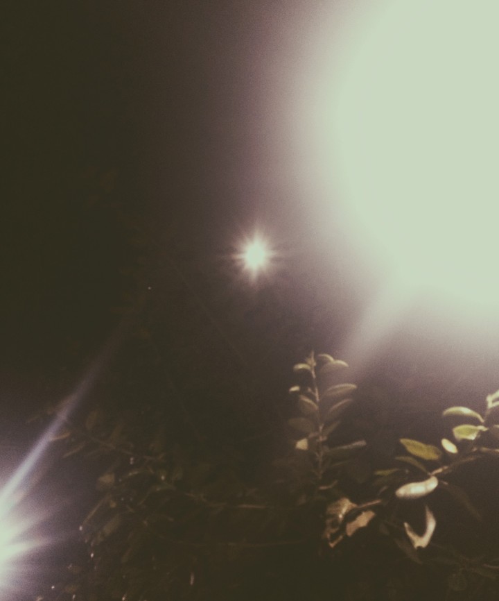 Dance by the light of the Moon...