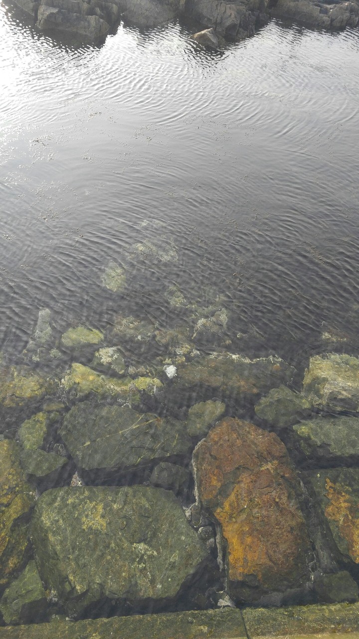 sea