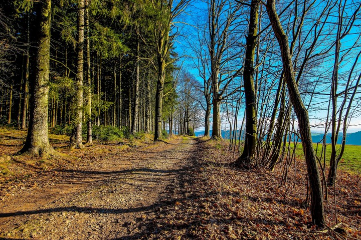 Wunderschöner Herbsttag