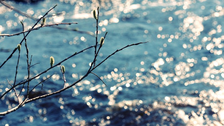 lovely picture...