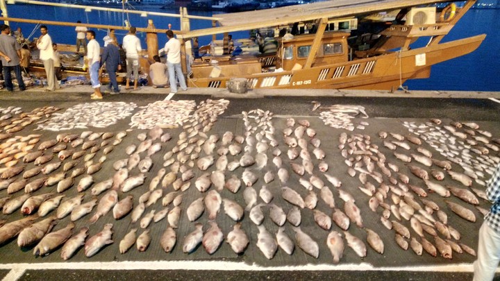 fish market