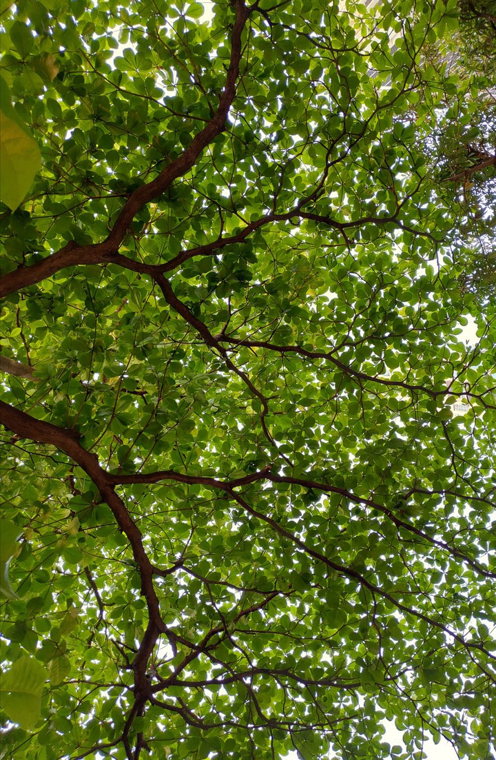 @go green.