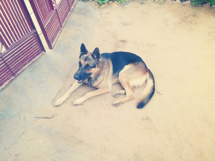 jhony..