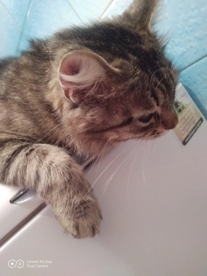 I want to sleep ... ?