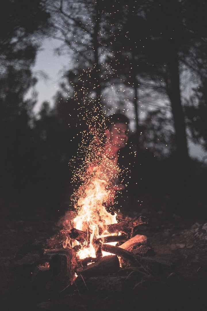 Fire&forest