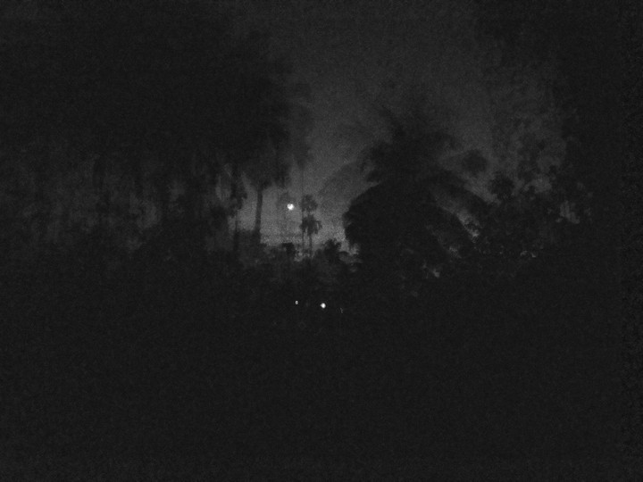 "Twilight"