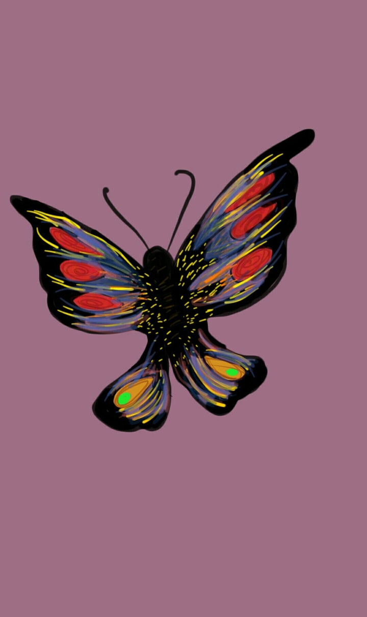 butterfly illustration