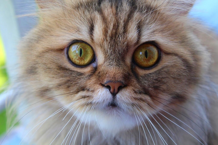 Startled.
