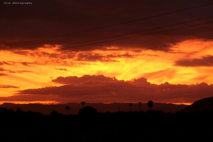 sunset beauty