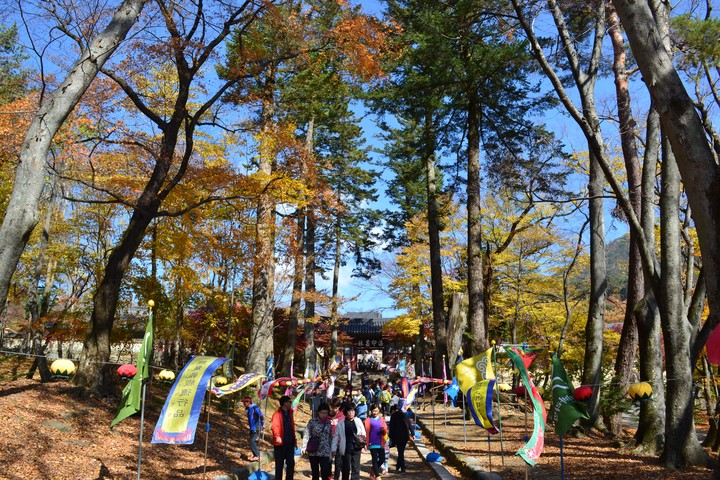 산이미지