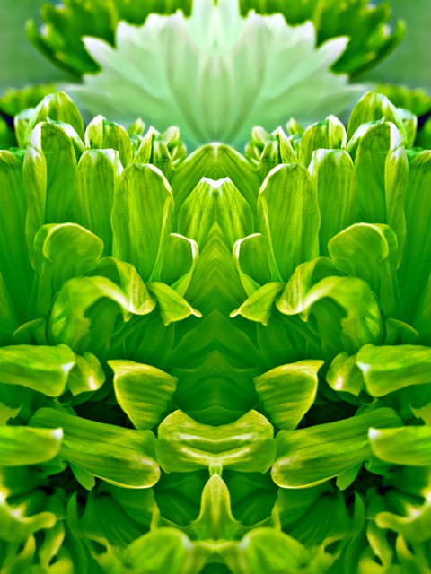 green flower