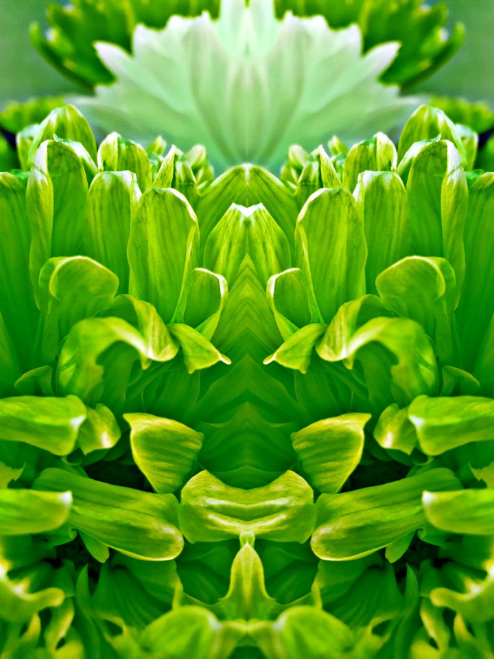 green flower