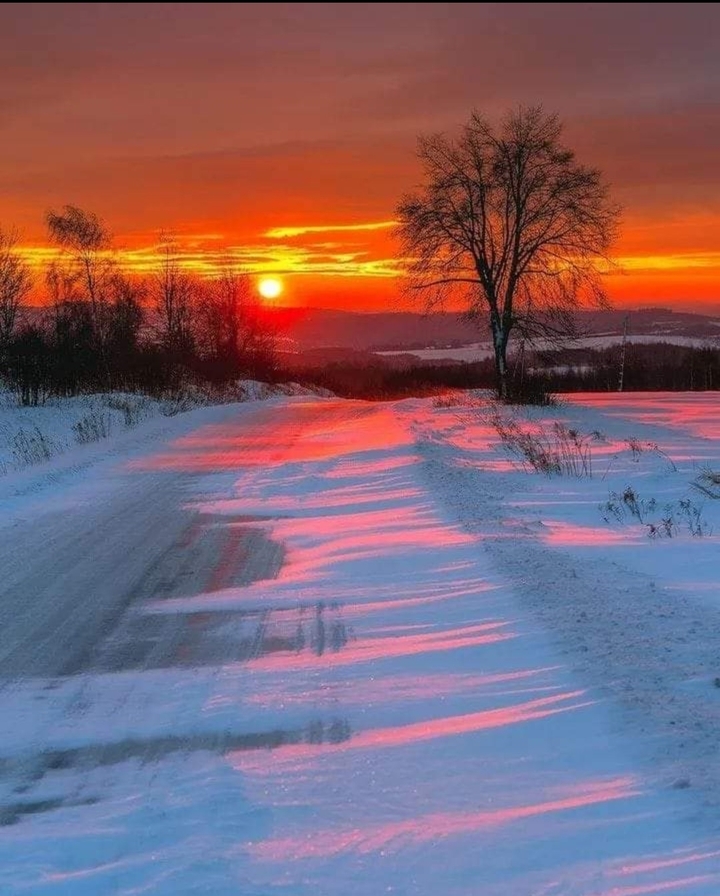 Dusk