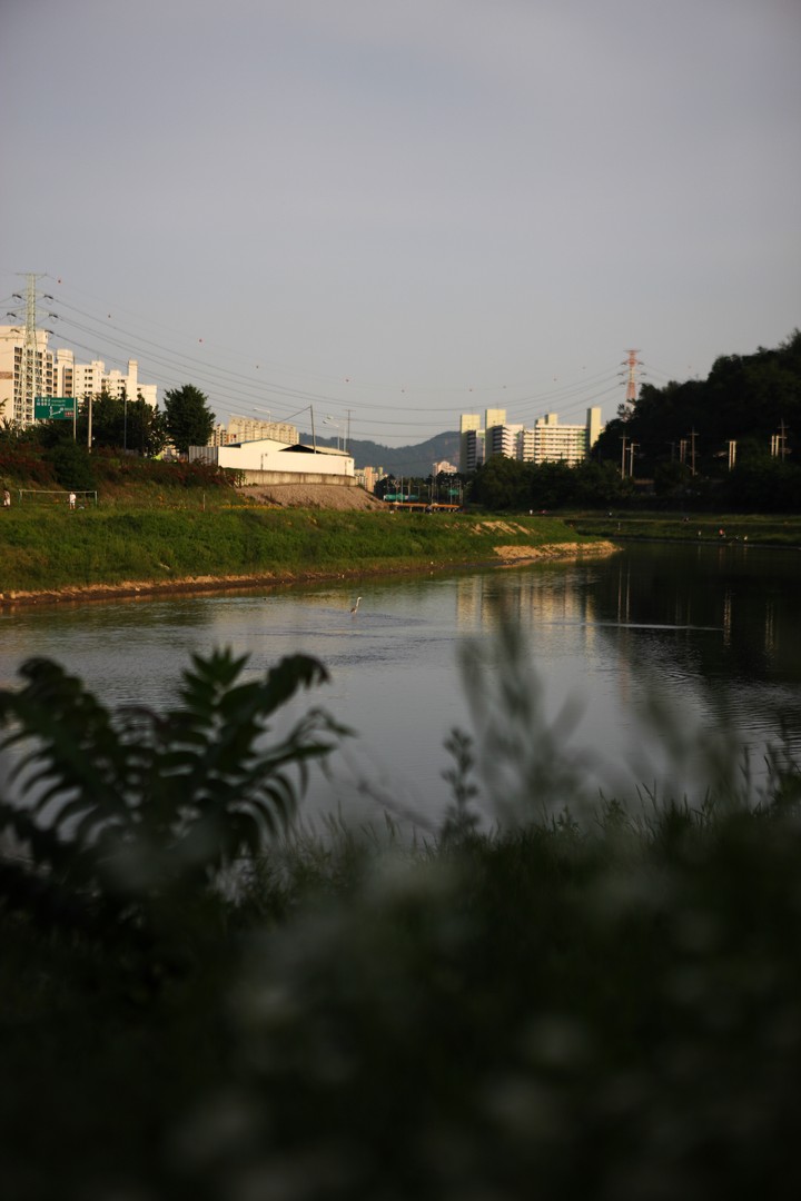 Asia