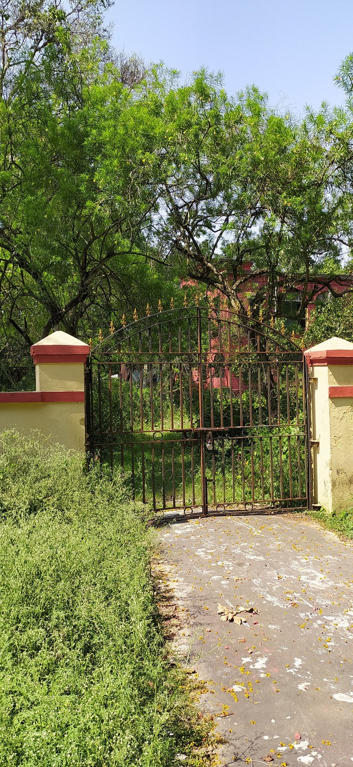 A haunted Gate