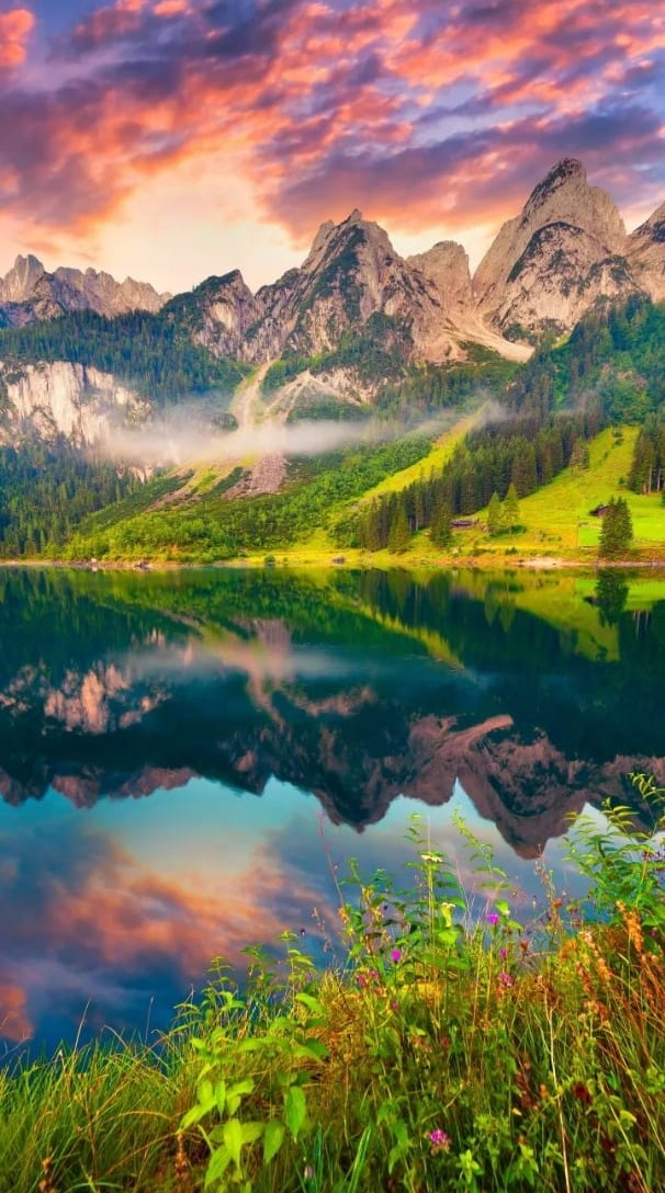 greenery