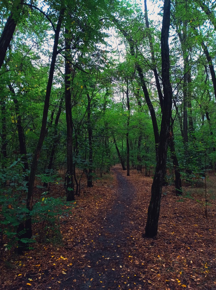 Autumn is coming