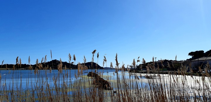étang de mer