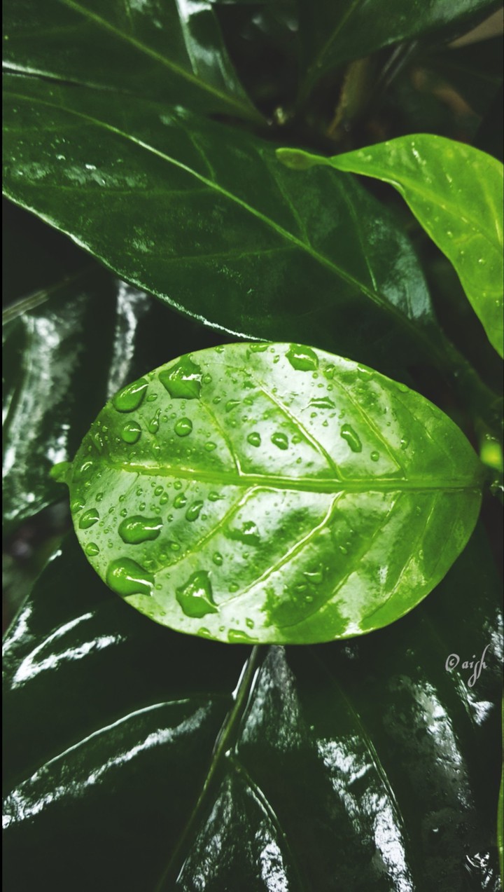 a rainy day inspiration