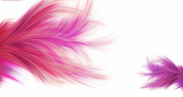 Feathers