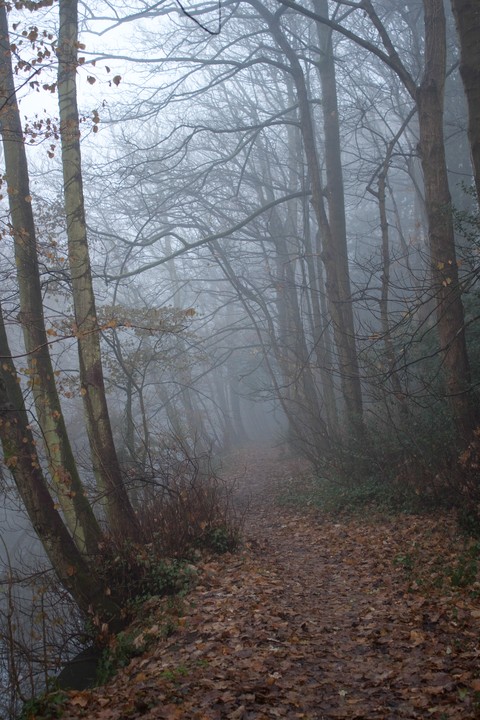 Mysterious Path