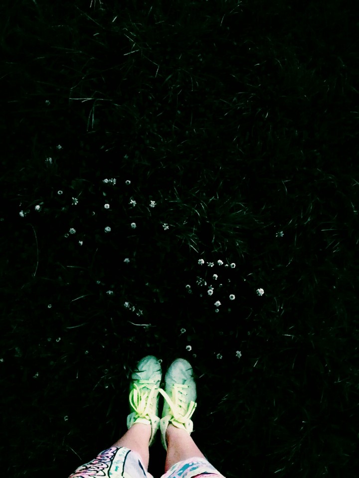 morning walk ... spring grass, dew, singing birds ..