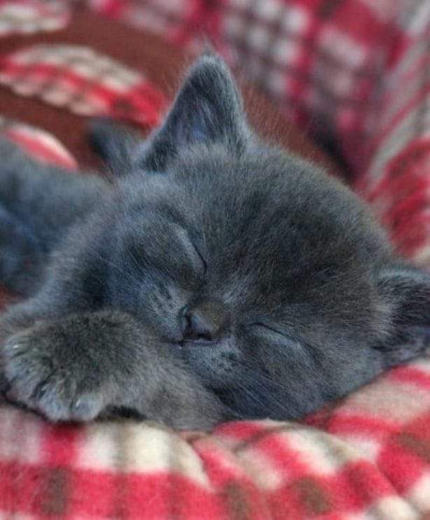❤❤