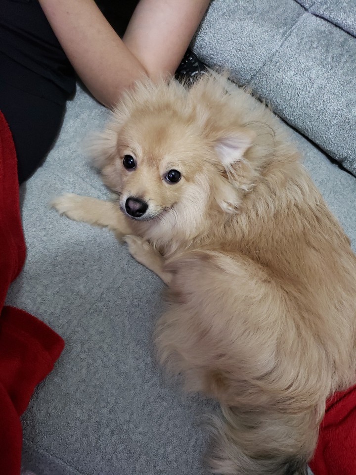 wally