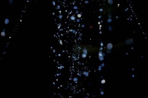 drop's