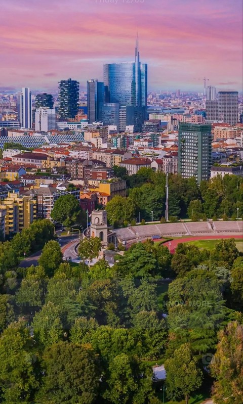 sfondi Skyscraper, plant