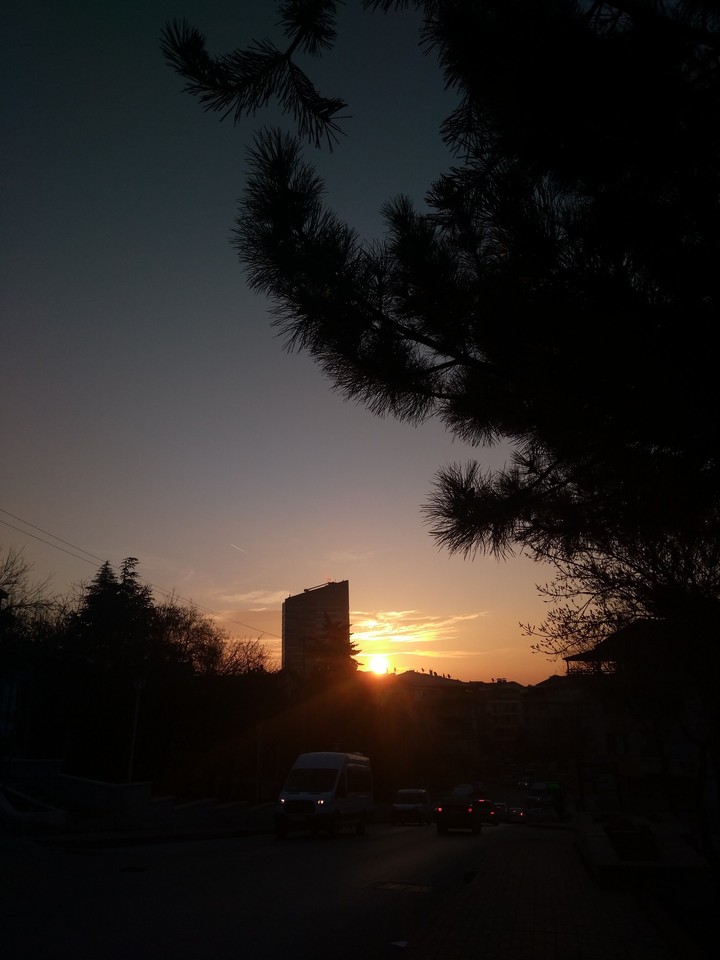 sunny 2