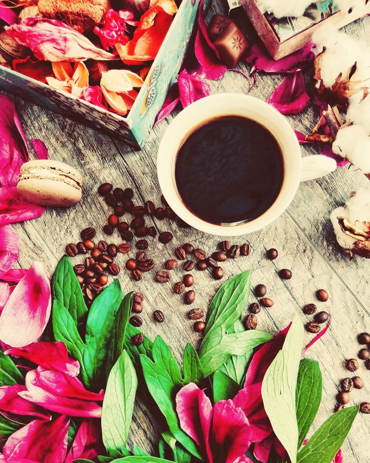 ☕☕☕☕☕☕