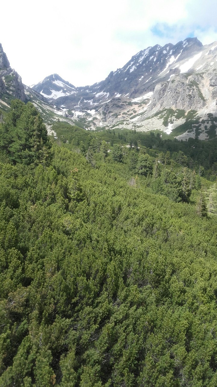 Vysoké Tatry♡