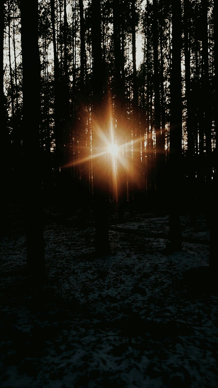 Sunny Moment
