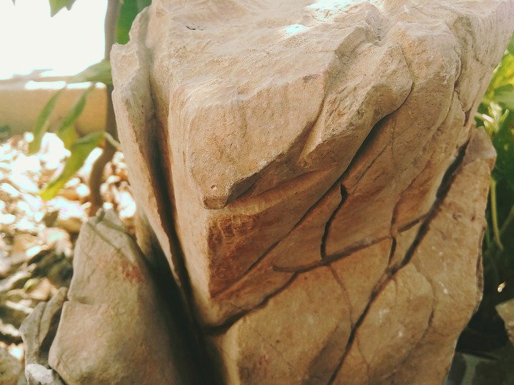 Roca