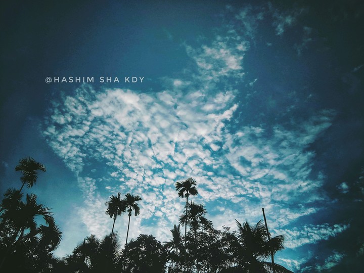 evening