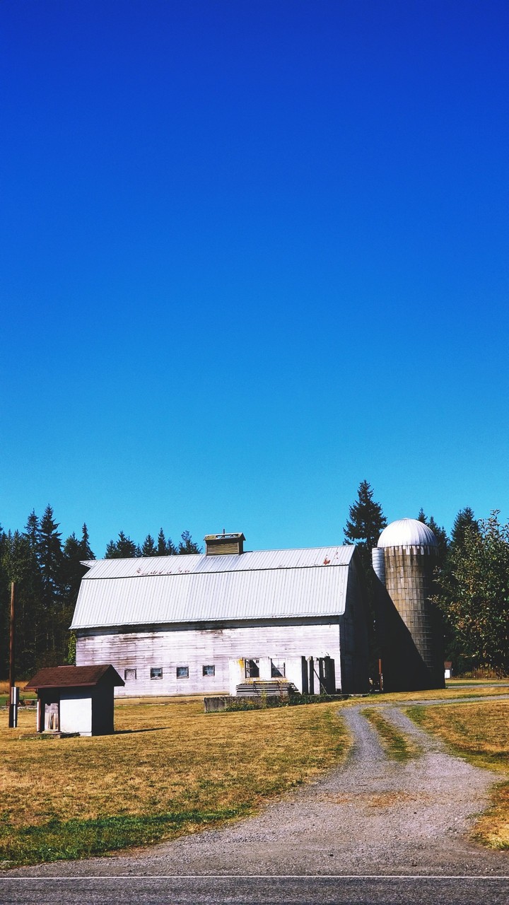 random barn