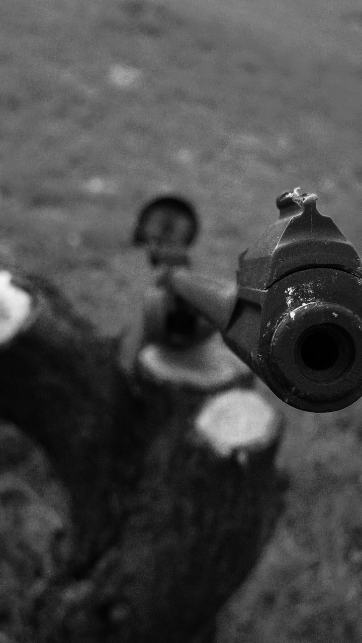 Gun