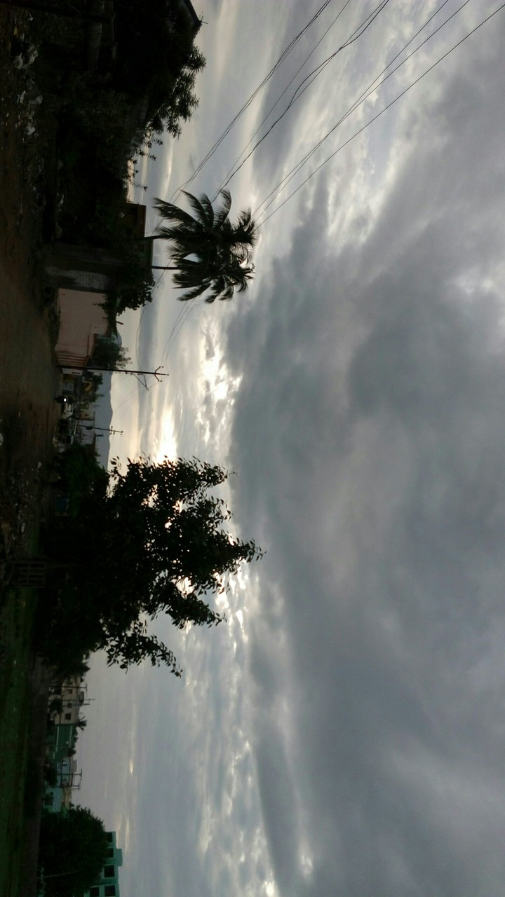 nature